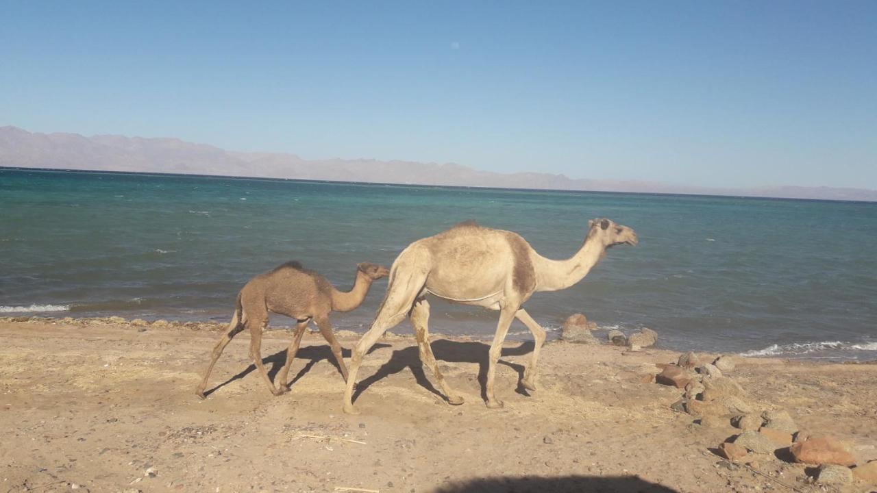 Laguna beach&Restaurant Dahab Exterior foto